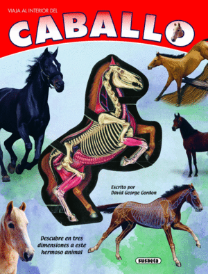 CABALLO